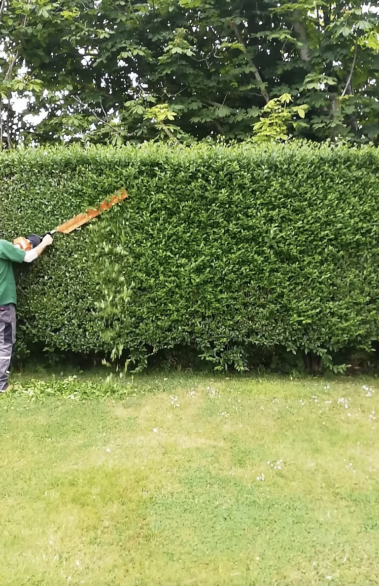 Shrub & Hedge Trimming in Troy, NY