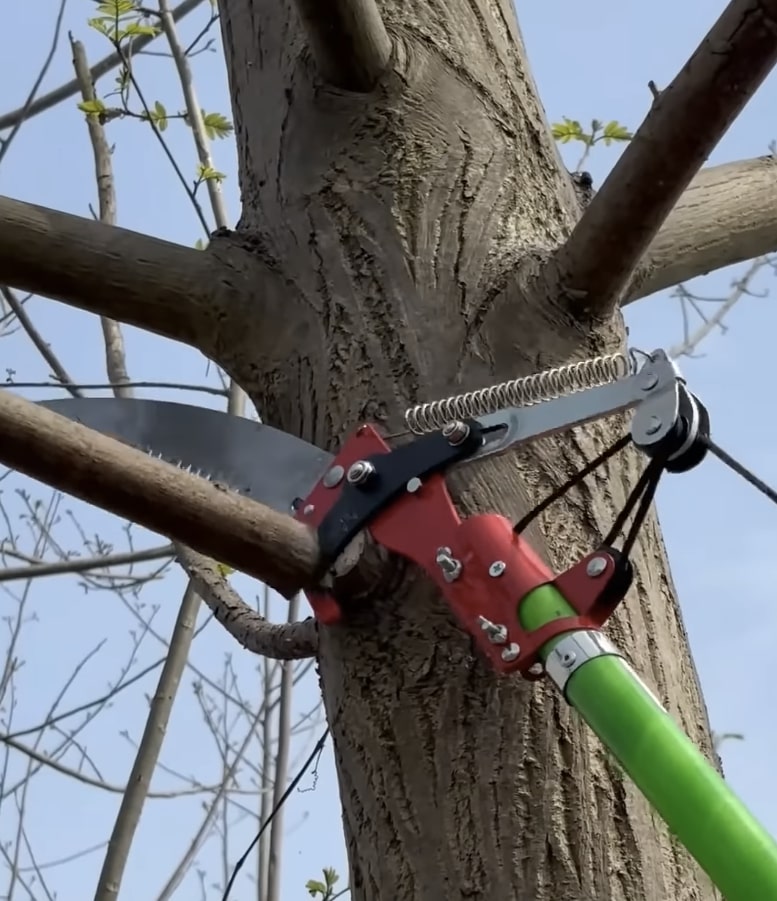 Tree Trimming & Pruning in Troy, NY